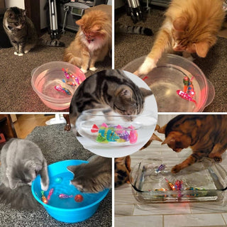 Interactive Cat Toy Set – Realistic Swimming Motion & Engaging Light