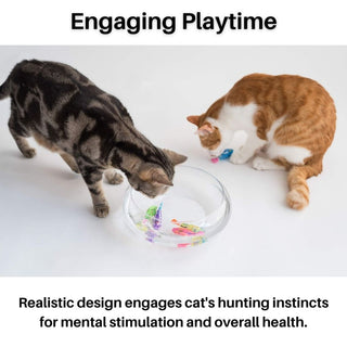 Interactive Cat Toy Set – Realistic Swimming Motion & Engaging Light
