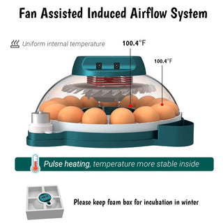 15 Eggs Incubator with Automatic Humidity Control