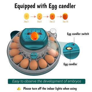 15 Eggs Incubator with Automatic Humidity Control