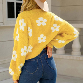 Haspana - Floral Sweater for women