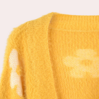 Haspana - Floral Sweater for women