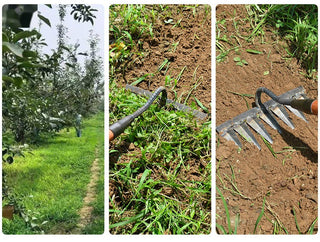 Weed Rake Pro Quick and Efficient Weed Removal