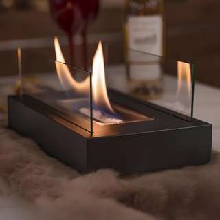 Modern Indoor/Outdoor Fire Feature