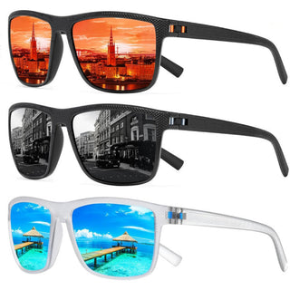 Polarized Sunglasses 3-Pack
