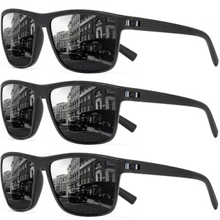 Polarized Sunglasses 3-Pack