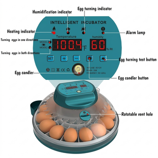 15‑Egg Incubator