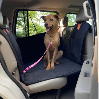 Dog Car Cover