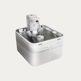 Wave Wireless Water Fountain